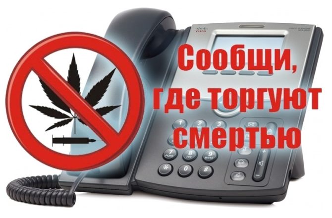 В Соликамском округе объявили акцию «Сообщи, где торгуют смертью»