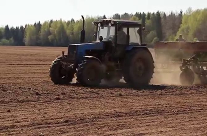 Погода позволила селянам Соликамского округа раньше выйти в поле