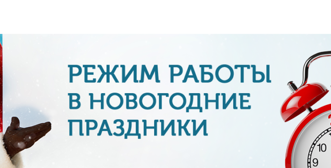 График работы вайлдберриз в новогодние. Баннер работа в новогодние праздники. График работы в новогодние праздники баннер. Баннер график работы в новый год. График работы офиса на новогодние праздники.