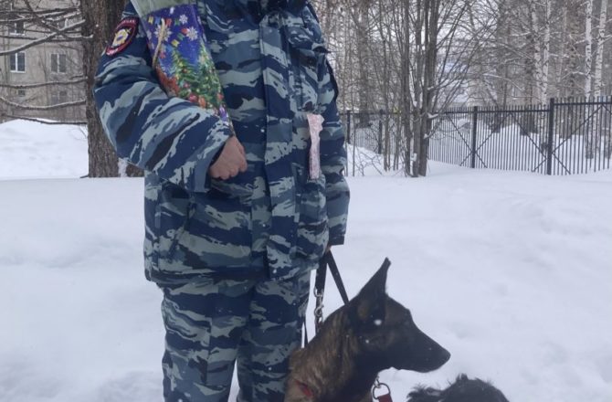 Полицейские Соликамска продолжают поздравлять прекрасных жительниц округа с праздником весны.