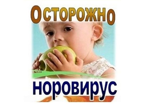 Норовирусная инфекция: что важно знать