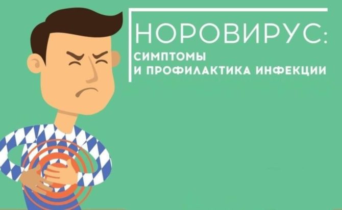 Норовирус – заразная болезнь!