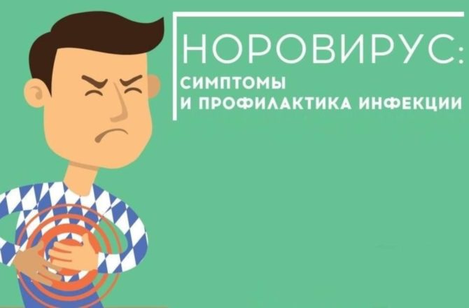 Норовирус – заразная болезнь!