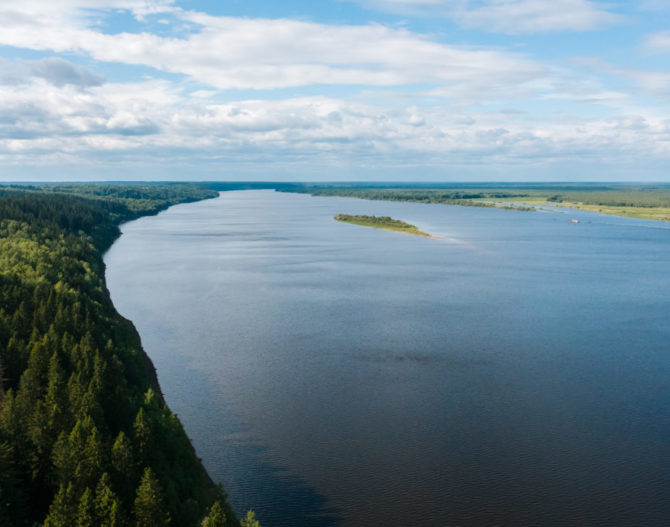 Экологи «Уралкалия» выпустили в Каму более 66 тысяч мальков стерляди
