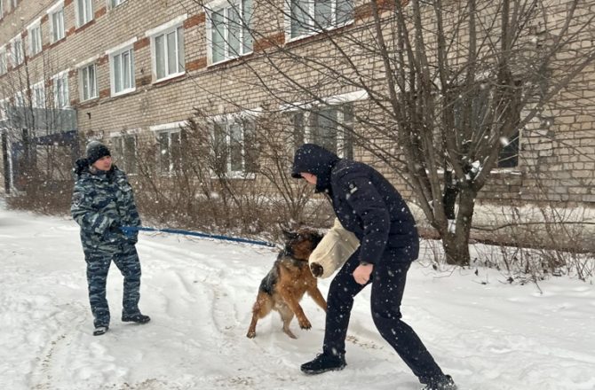 Отдел МВД России «Соликамский» радушно принял у себя в гостях участников  регионального этапа Олимпиады школьников «Университет цифровой полиции», проводимой Московским университетом МВД России им. В.Я. Кикотя.