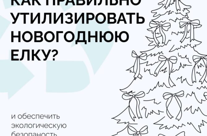 Двенадцать округов Прикамья присоединились к всероссийской акции «Ёлковорот»