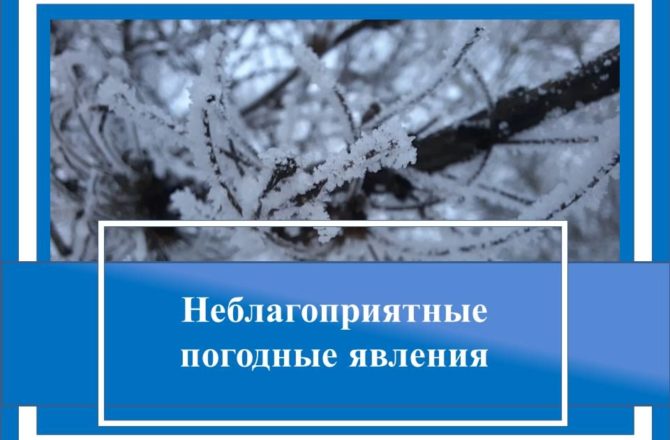 Погодные условия в ближайшие дни.