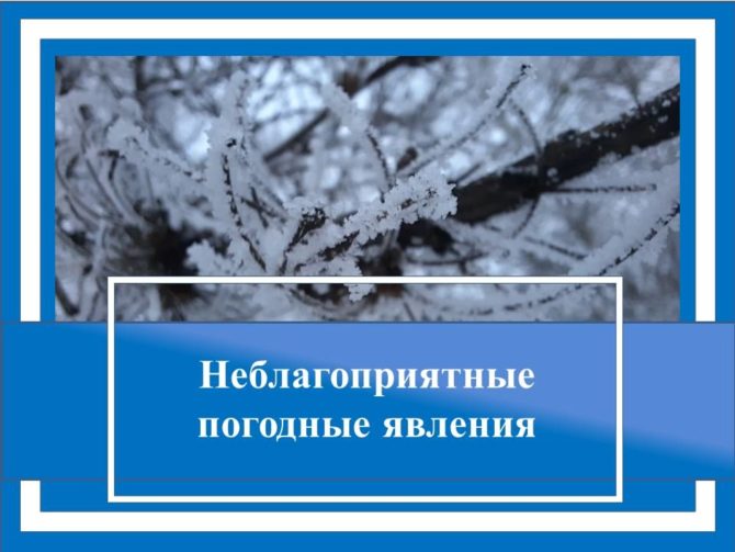 Погодные условия в ближайшие дни.