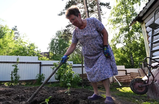Побелка без молока и сжигание листвы: ученая Пермского Политеха назвала топ-10 ошибок дачников осенью и рассказала, как их избежать